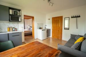 a kitchen and living room with a couch and a table at BacherlHouse - Apt Sickingerbach in Schörfling