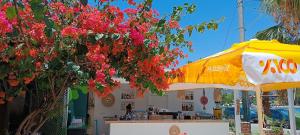 a tree with red flowers and a yellow umbrella at Dut Selimiye in Marmaris