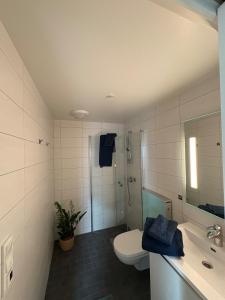 a bathroom with a toilet and a shower and a sink at Cozy Apartment in Tromsø