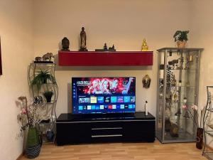 a flat screen tv sitting on top of a black entertainment center at Goetheanum Casa in Dornach