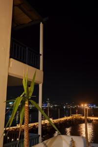 a palm tree in front of a building at night at Sea view in Karpathos Town