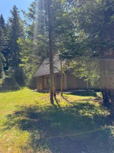 a cabin in the middle of a field with trees at Kolibica in Žabljak +5 photos