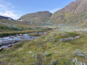 a river in a field with mountains in the background at Kuukasik hostel in Narsaq