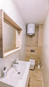 un bagno con lavandino e WC di Apartman Lazar Trebinje a Trebinje Altre 7 foto