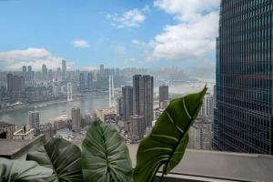 a plant in a window with a view of a city at Chongqing KS Kongshang Hotel in Chongqing
