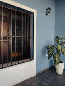 a plant in a pot next to a door at Casa Tio Roger in Mérida