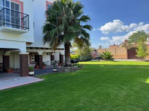 a palm tree in the yard of a house at Posada Terra Santa in Tequisquiapan