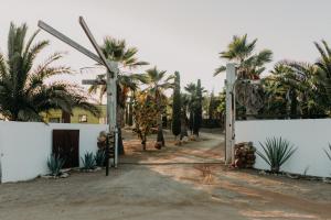 a driveway with palm trees and a white fence at DaNik Valle in Francisco Zarco