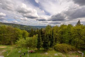 a group of people standing in a field with trees at Hotel Tanečnica in Pustevny