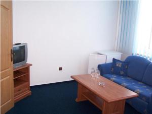 TV a/nebo společenská místnost v ubytování Hotel U Jelena