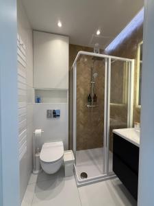 a bathroom with a shower and a toilet and a sink at Apartament Żabie Oczko in Zator +26 photos