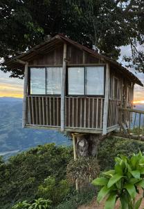 a tree house sitting on top of a tree at Luxury tree house at La meseta in Titiribí
