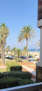 Blick auf einen Strand mit Palmen und das Meer in der Unterkunft Studio au pied de l'eau in Canet-en-Roussillon