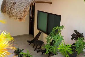 een flatscreen-tv aan een muur met planten bij Hotel Diosa del Agua Bacalar in Bacalar