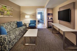a living room with a couch and a flat screen tv at Hilton Garden Inn Toronto-Oakville in Oakville