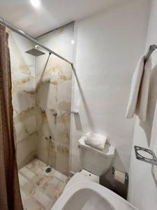 a bathroom with a toilet and a shower at Mi Casa in Progreso