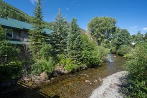 a river next to a house with trees at Mountainside Inn 208 by Alpine Lodging Telluride in Telluride