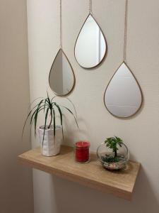 a shelf with three mirrors and a plant on it at DPTO frente MALL-AEROPUERTO, CONCEPCION in Concepción