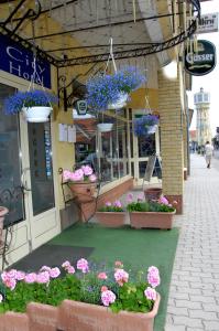 una tienda con macetas de flores frente a un edificio en City Hotel Siófok, en Siófok