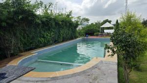 a swimming pool with green water in a yard at Yuvraj Fort Pushkar by Data Mansa Hukam Pvt Ltd in Pushkar