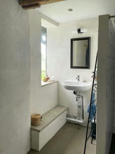 a bathroom with a sink and a bath tub at Renovated Scanian Farmhouse With Two Studios in Skåne-Tranås +31 photos