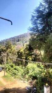 a view of a mountain with trees and a road at Osprey individual Cottage in Ooty
