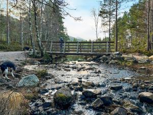 a person standing on a bridge over a river at Lodge 58 in Aviemore