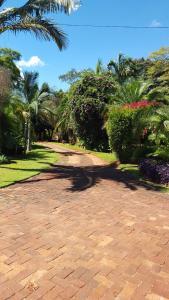 Gallery image of Palm villa in Harare