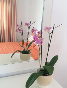 two vases with flowers on a table in front of a mirror at Katerina Apartments & Studios in Naousa