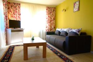 a living room with a couch and a coffee table at Pensiunea Cabana Soimul in Comăneşti