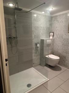 a bathroom with a shower and a toilet at woonboot de dobber loosdrechtse plassen 6-8 personen in Loosdrecht