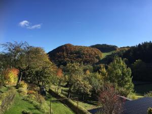 a view of a hill with trees on it at Charmantes Ferienhaus in Deifeld in Medebach +32 photos