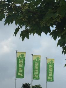 three green and white flags on poles under a tree at Camping Ter Hoeve in Bredene