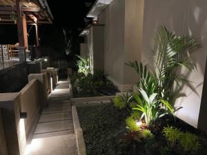 a building with a row of plants in a courtyard at The Banjar Homestay in Sidemen