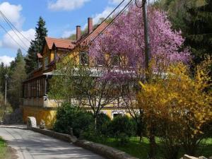 a house with purple flowers on the side of it at Historische Villa in Sachsen in Großschirma