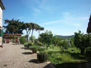 PancoleにあるCasale In Maremmaの高台の木々や茂みのある庭園