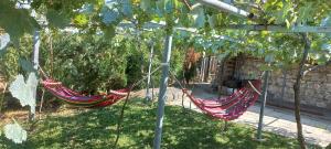 Un jardín fuera de Guesthouse Among the Vines