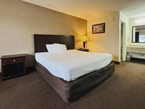 a bedroom with a large bed in a hotel room at Econo Lodge in Kannapolis