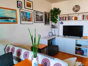 a living room with a couch and a tv at Soul Stay Milano - San Siro Ippodromo Bonola M1 in Milan