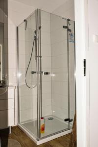 コウォブジェクにあるApartament SOLNY 304のバスルーム(ガラスドア付きのシャワー付)