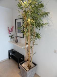 Fotografie z fotogalerie ubytování Apartment Poris Sunrises v destinaci Poris de Abona