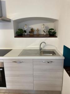 a kitchen with a sink and some plants on a shelf at Valmaison - your cottage in the historic center in Aosta +9 photos