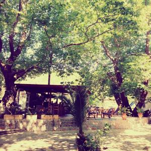 a park with a pavilion with benches and trees at Hotel Zachos in Troulos