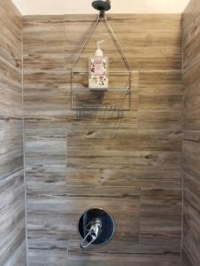 a bathroom with a shower with a wooden wall at Little Miracle in Beaufort West