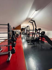 una palestra con numerosi macchinari e pesi di Willa Apartament Prestige z sauną i siłownią na wyłączność a Żołynia