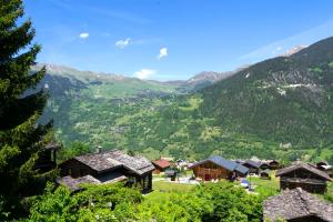 un village dans une vallée avec des montagnes en arrière-plan dans l'établissement à la Maison des Cheneaux, à Bruson