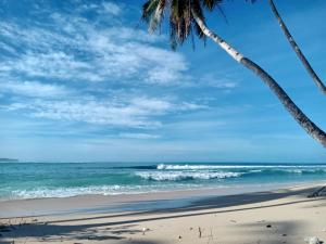 a beach with two palm trees and the ocean at Bintang Left Homestay Mentawai in Katiet +11 photos
