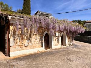 a building with wisteria on the side of it at Studio stonehouse in Ičići