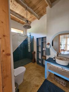 a bathroom with a toilet and a sink and a shower at Nature Sanctuary, a semi-detached house on an ecological & sustainable farm in Santa Maria de Guia de Gran Canaria