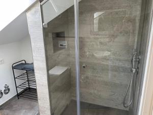 a shower with a glass door in a bathroom at Black Forest Lodge in Baiersbronn